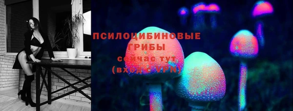 амф Алексеевка