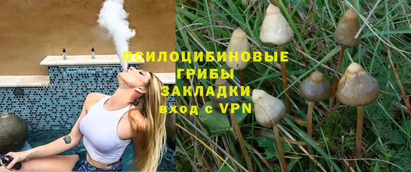 2c-b Алексин