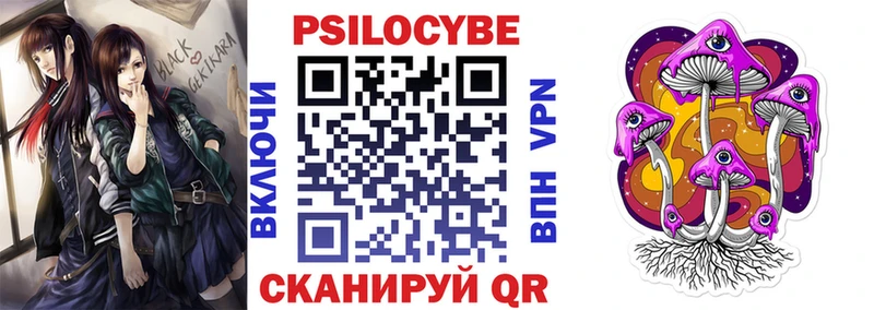дарнет шоп  Тогучин  Псилоцибиновые грибы GOLDEN TEACHER 